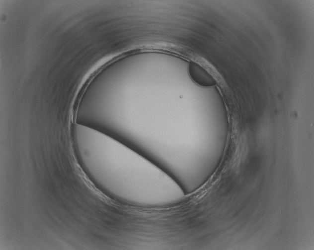 X0000085241036200703090917