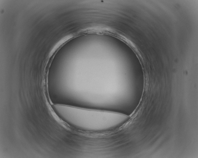 X0000085241042200703090917