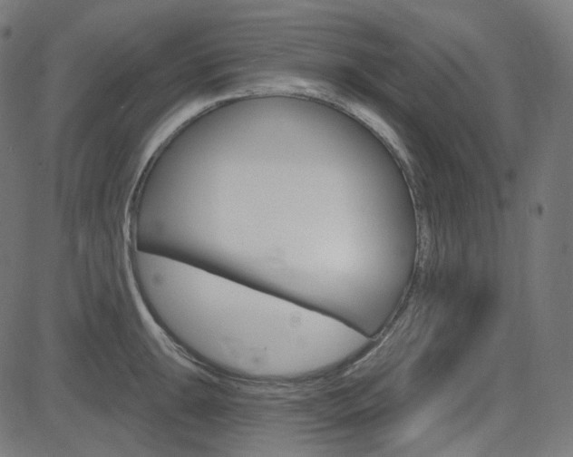 X0000085241047200703090917