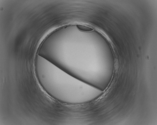 X0000085241048200703090917