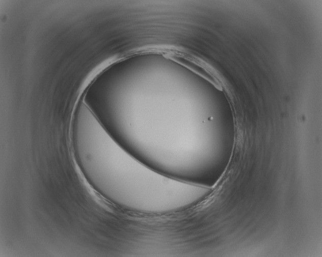 X0000085241050200703090917