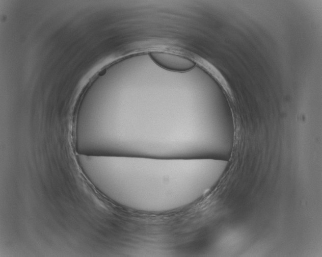 X0000085241051200703090917