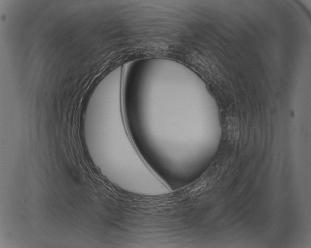 X0000085241057200703090916
