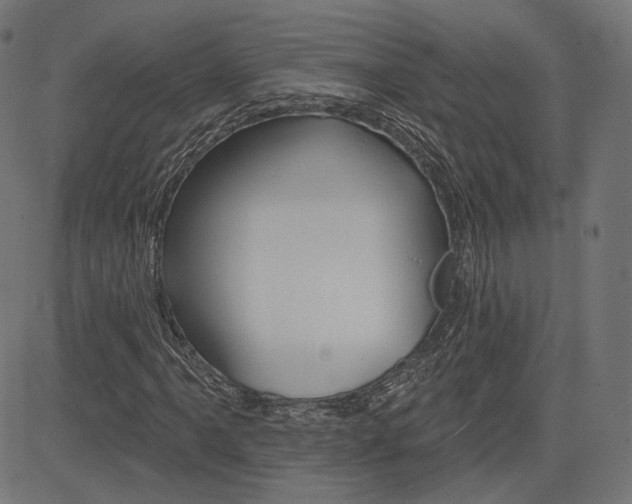 X0000085241061200703090916