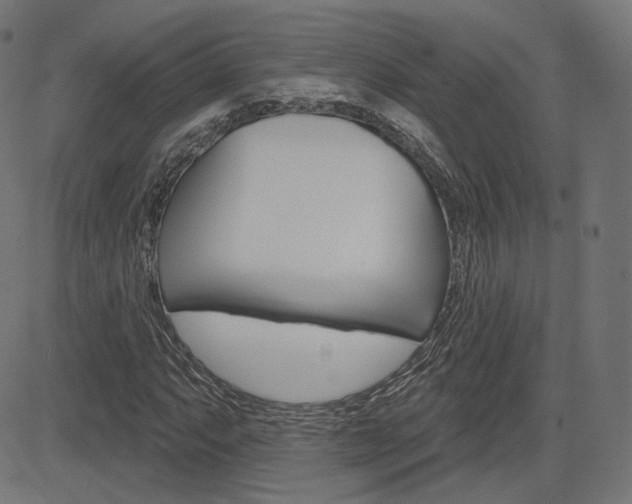 X0000085241063200703090916