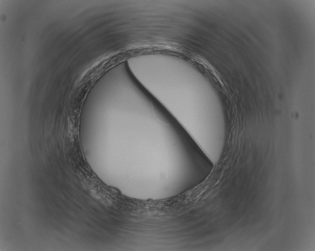 X0000085241064200703090916