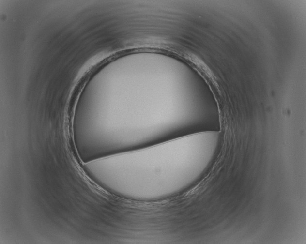 X0000085241072200703090916