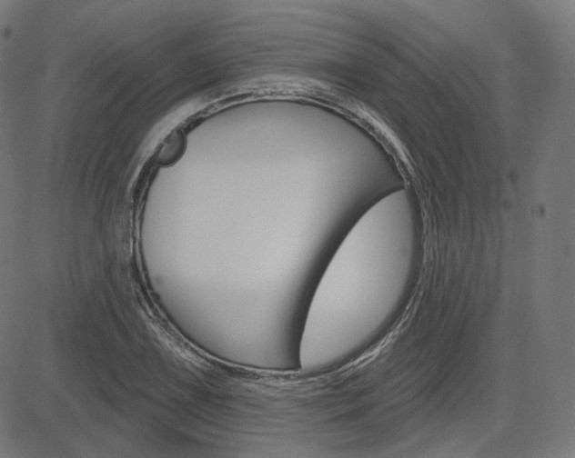 X0000085241075200703090916