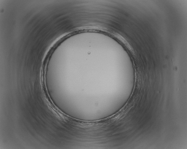 X0000085241076200703090916