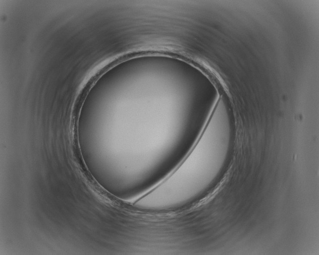 X0000085241077200703090916