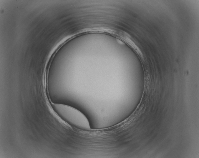 X0000085241084200703090916