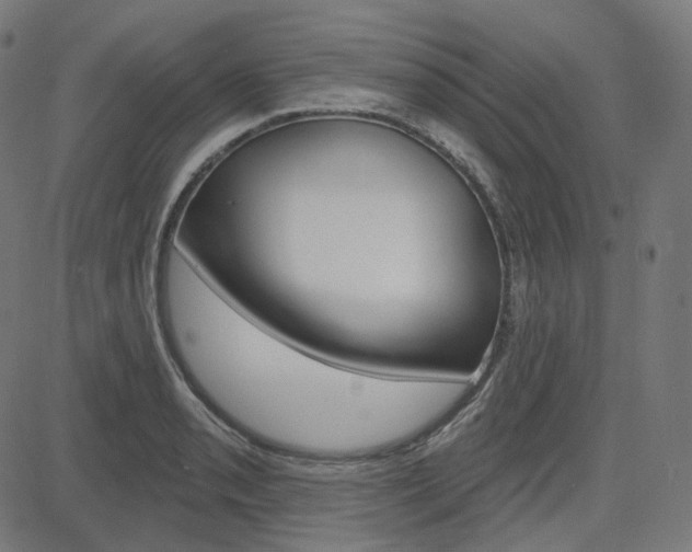 X0000085241085200703090916