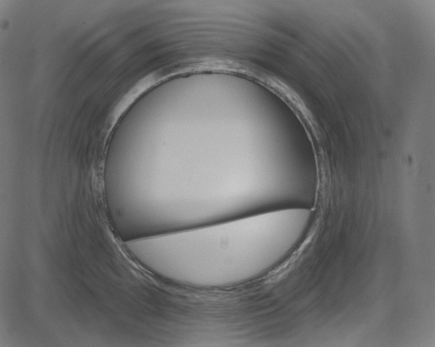 X0000085241097200703090916