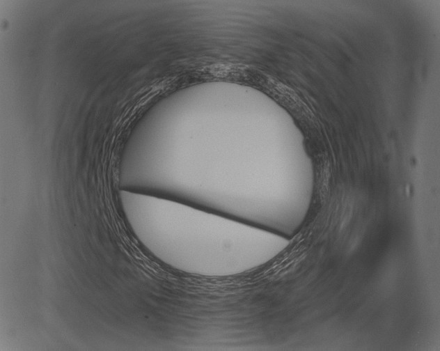 X0000085241105200703090915