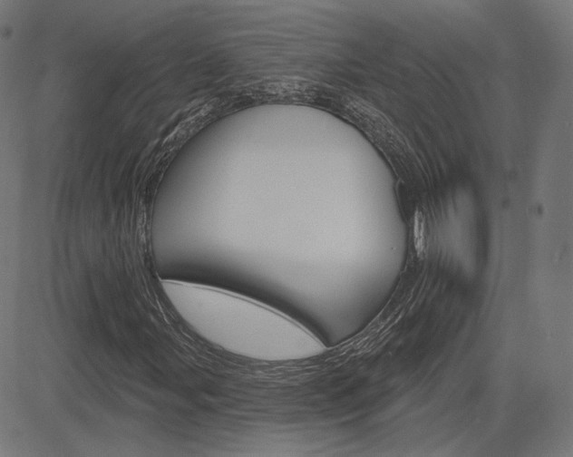 X0000085241107200703090915