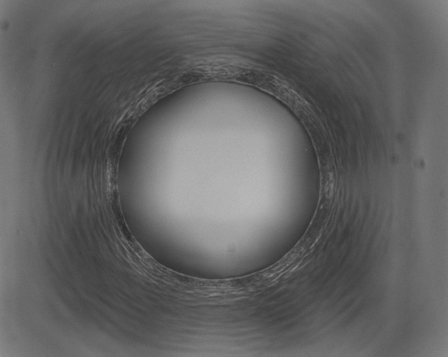 X0000085241108200703090915