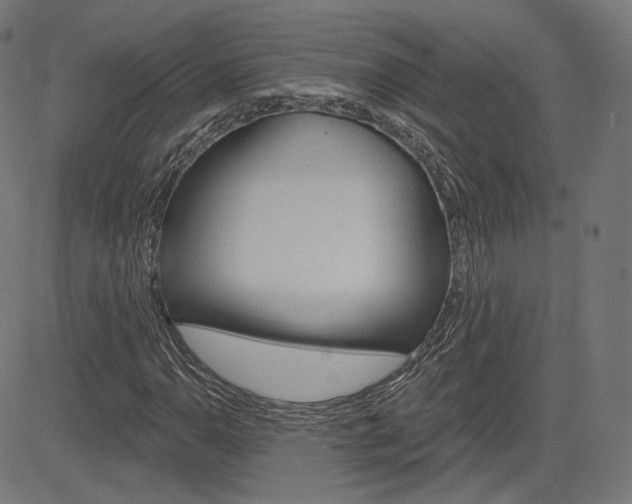 X0000085241110200703090915