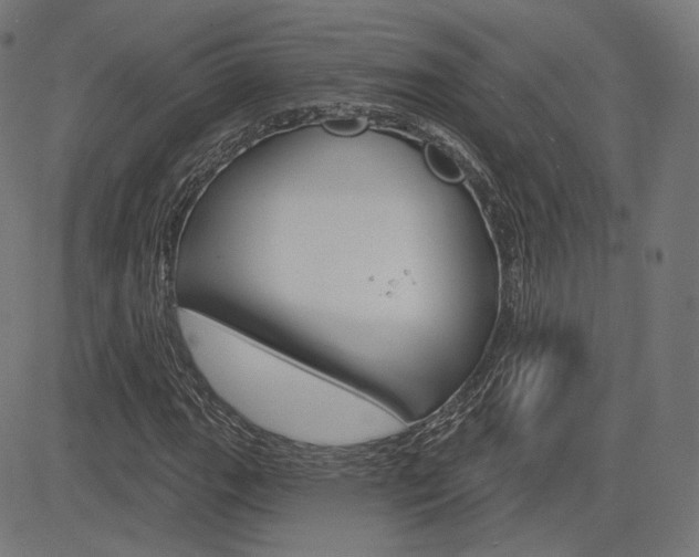 X0000085241111200703090915
