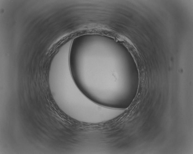 X0000085241112200703090915