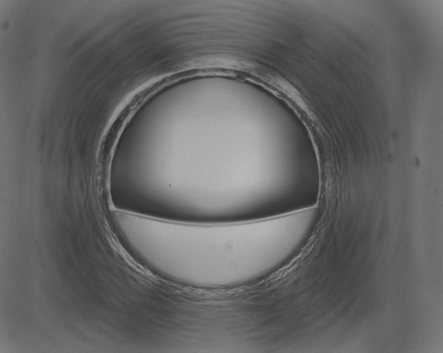 X0000085241116200703090915