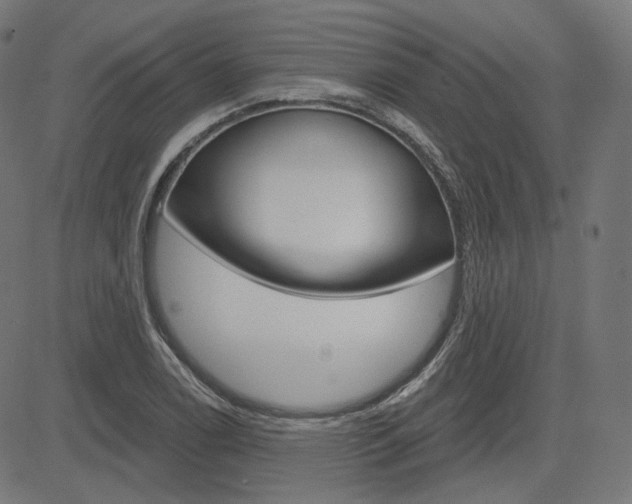 X0000085241122200703090915