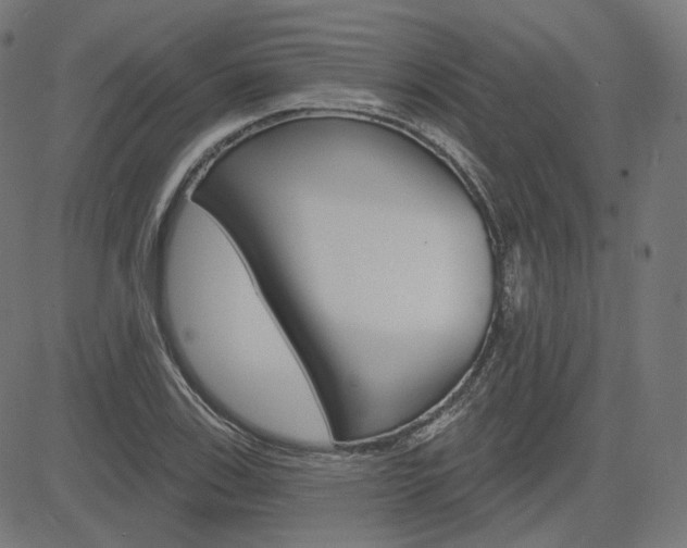 X0000085241123200703090915