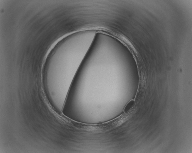 X0000085241124200703090915