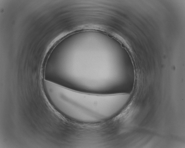 X0000085241133200703090915