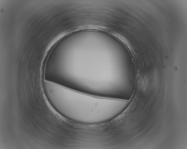 X0000085241135200703090915