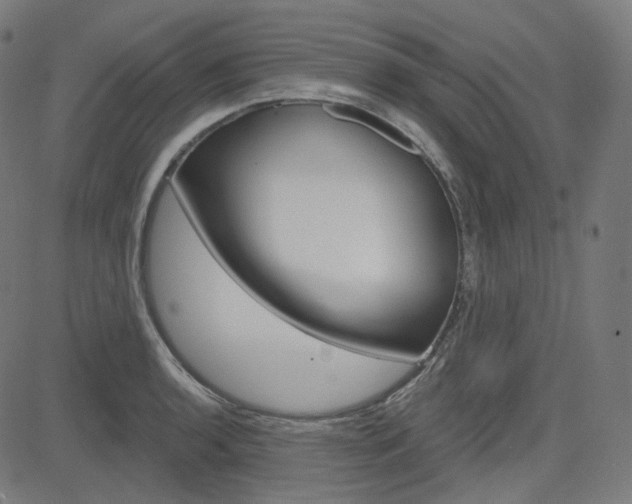 X0000085241136200703090915