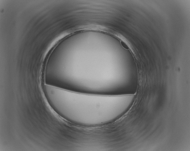 X0000085241139200703090915