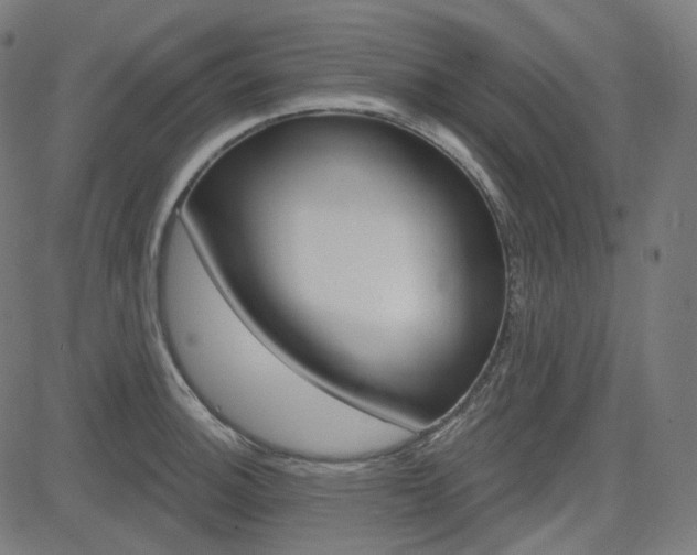 X0000085241140200703090915