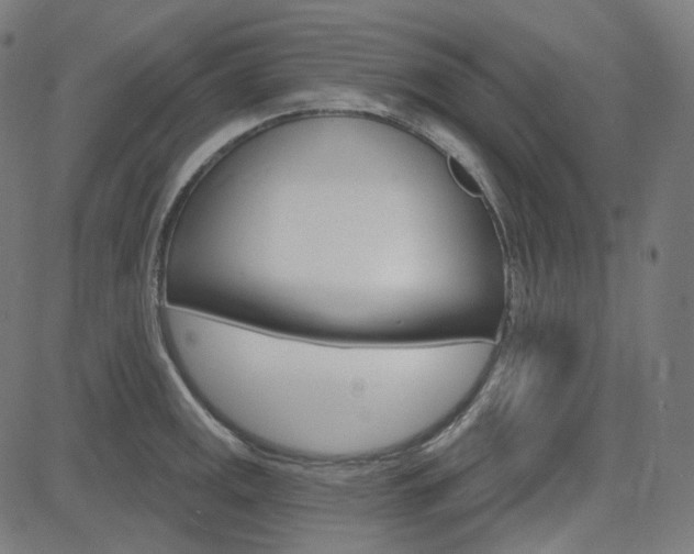 X0000085241141200703090915