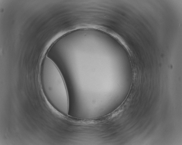 X0000085241143200703090915