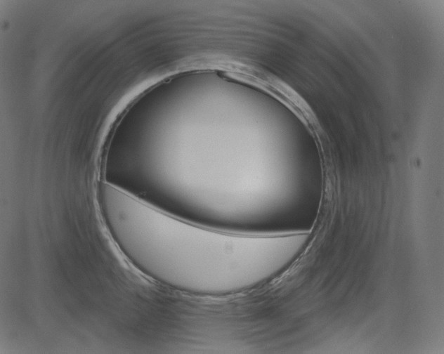 X0000085241144200703090915