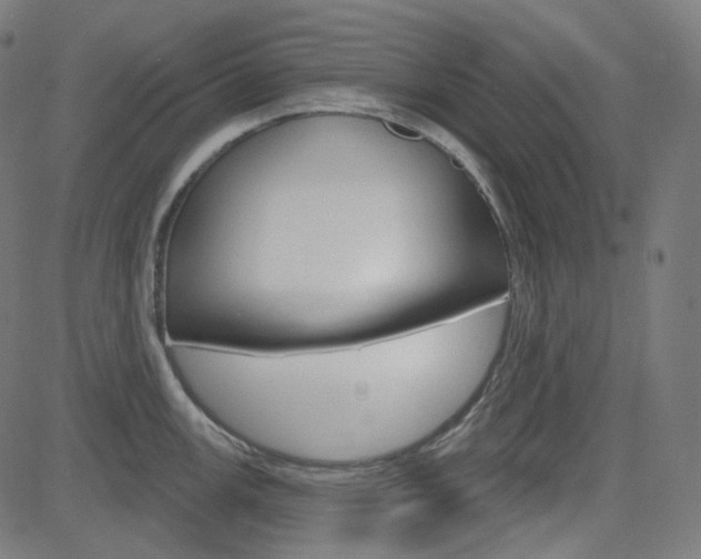 X0000085241147200703090915