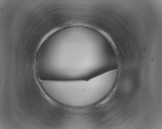 X0000085241149200703090916