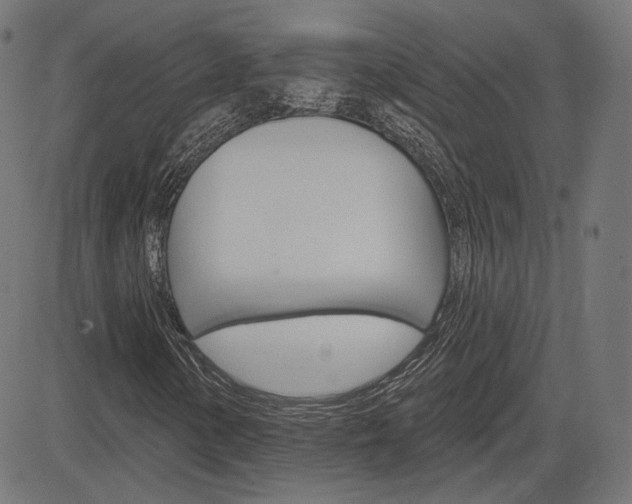X0000085241154200703090915
