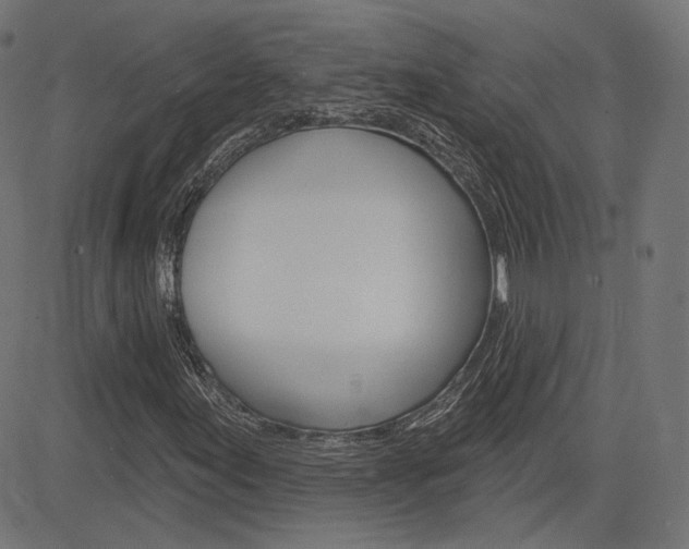 X0000085241155200703090915