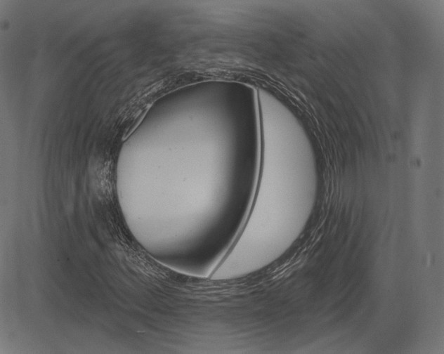 X0000085241156200703090915