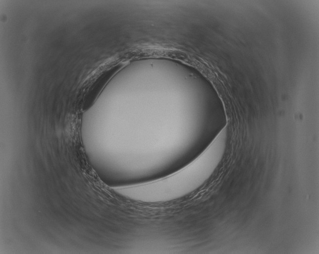 X0000085241157200703090915