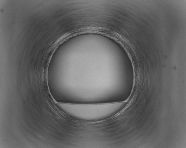 X0000085241161200703090915