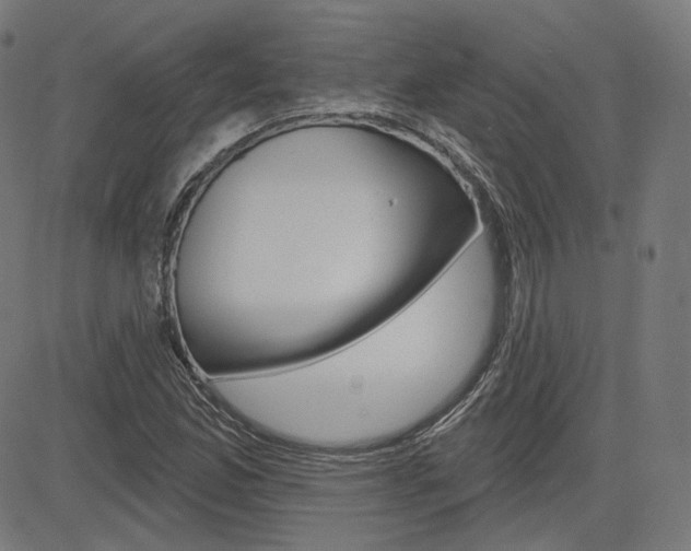 X0000085241165200703090915