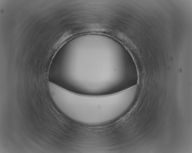 X0000085241169200703090914