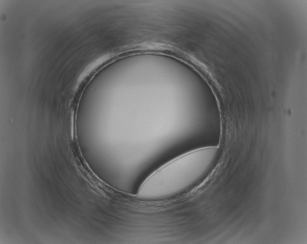 X0000085241171200703090914