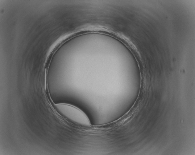 X0000085241175200703090914