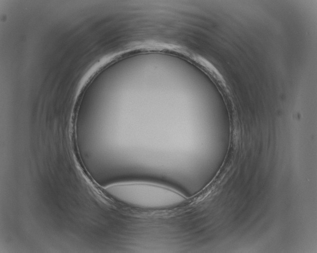 X0000085241183200703090914