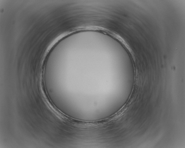 X0000085241187200703090914