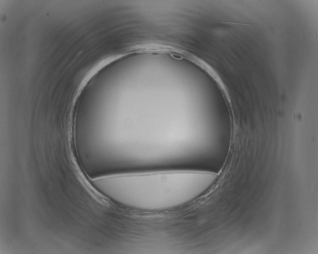 X0000085241195200703090914