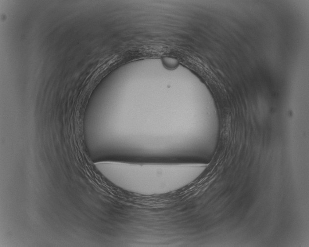 X0000085241201200703090913